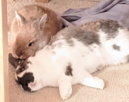 MVIMG_20200111_222503