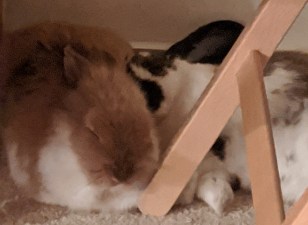 mvimg_20200126_170042