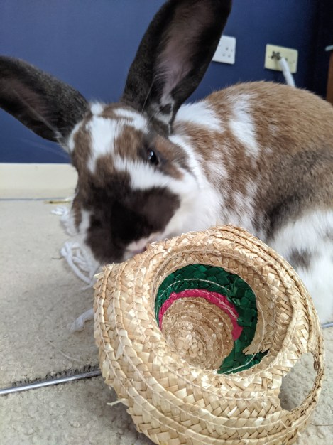 mvimg_20200612_114105