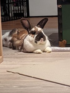 This image has an empty alt attribute; its file name is pxl_20210109_1827028465328607486033312298.jpg